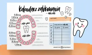Kalendarz ząbkowania mleczaków: kolejność wyrastania zębów od siekaczy po trzonowce, z podziałem na górne i dolne.