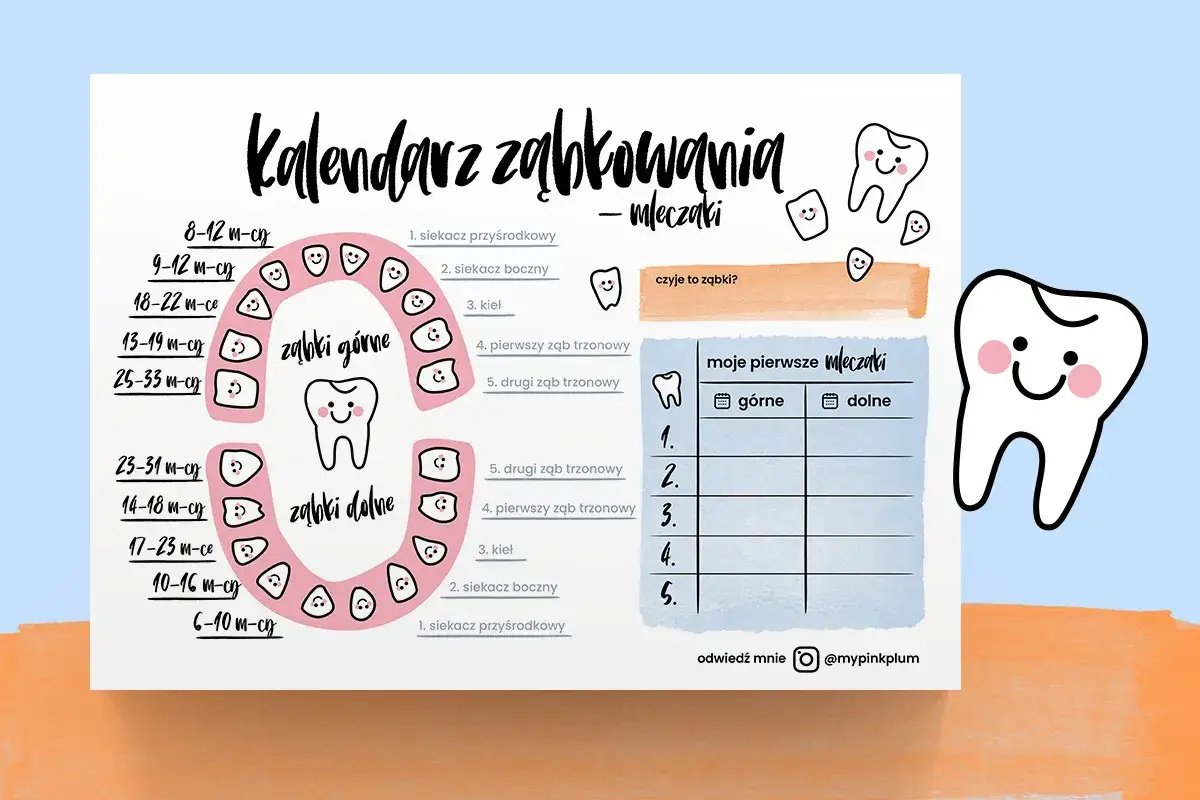 Kalendarz ząbkowania mleczaków z uśmiechniętymi ząbkami i tabelką do zapisywania.